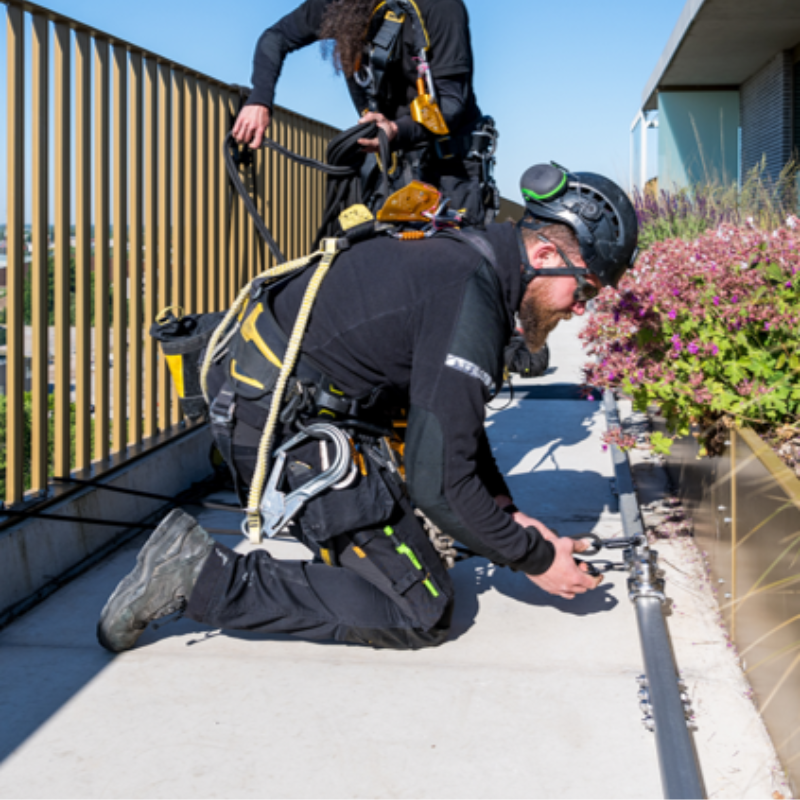 未命名的设计 (11)